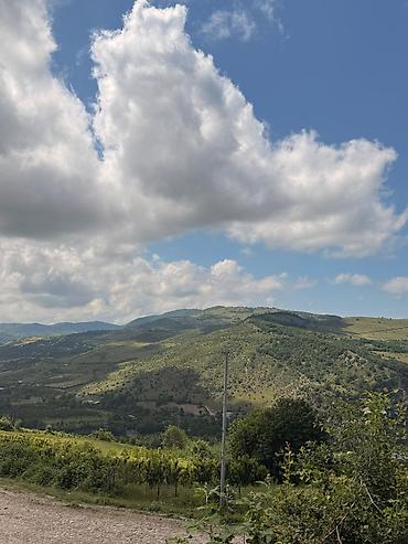 hovsanda torpaq satilir 2025: 48 sot, Kənd təsərrüfatı, Mülkiyyətçi, Kupça (Çıxarış) — 4
