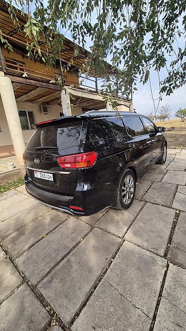 форсунка гбо 4 поколения: Kia Carnival: 2019 г., 2.2 л, Дизель, Минивэн — 4