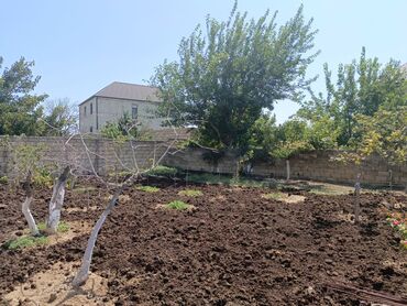 Torpaq sahələrinin satışı: 6 sot, Tikinti, Makler, Bələdiyyə — 8