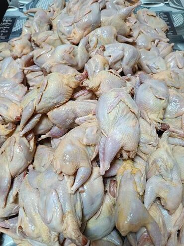 тушки кролика: Перепелиное мясо качество отличное в килограмме 3 штуки