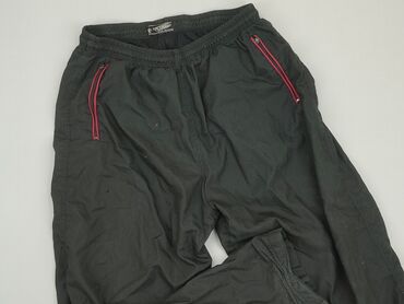 spódnico spodnie dżinsowe: Sweatpants, L (EU 40), condition - Good