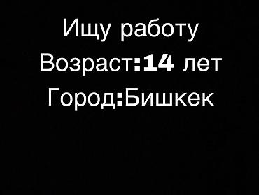 студентов: Ищу работу - Не студент, С опытом, Неполный рабочий день — 1