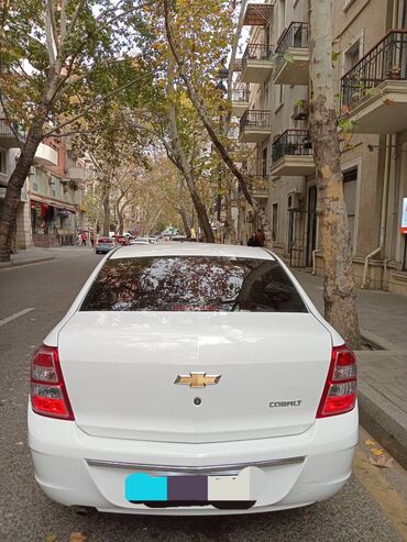 Chevrolet: Chevrolet Cobalt: 1.5 l | 2024 il 30500 km Sedan — 2