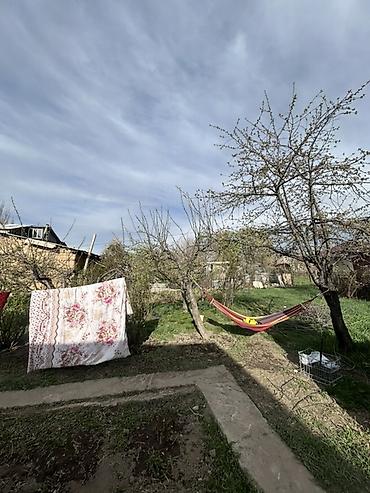 Продажа коттеджей и домов: Продается жилой дом с большим земельным участком и хозяйственным — 2