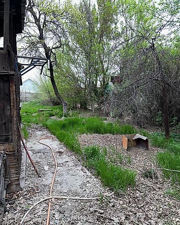 Продажа коттеджей и домов: 🏡 ПРОДАЁТСЯ ДОМ В хорошем перспективном районе. Находится по первой — 9