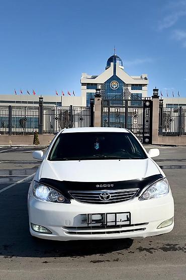 Toyota: Toyota Camry: 2004 г. — 3