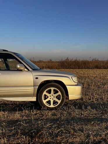 Subaru: Subaru Forester: 2000 г., Автомат, Газ, Кроссовер — 10