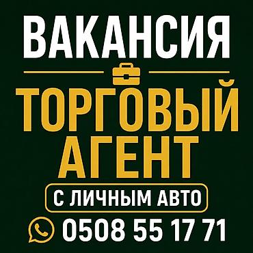 маркет: Требуется Торговый агент, График: Шестидневка, Менее года опыта, Обучение, Подработка — 1