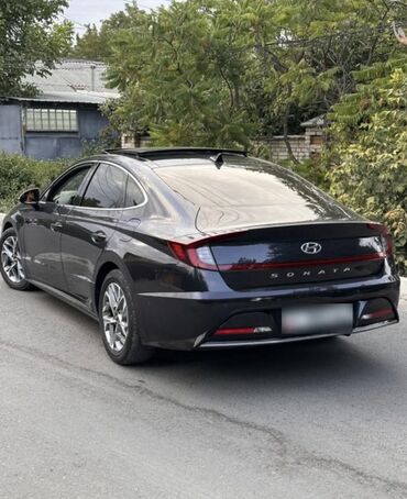 Hyundai: Hyundai : 2020 г., 2 л, Автомат, Газ, Седан — 3