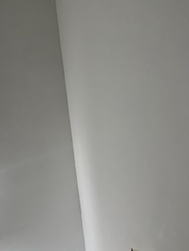 купить решетки на окна: Ağ rəngdə hamar divar rəsmi (boya işi) - Səliqəli şəkildə rənglənmiş