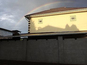 Кровля крыши: Балкыта ширетуучу — 16