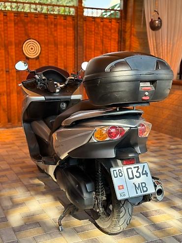 Скутеры: Макси-скутер Honda, 250 куб. см, Бензин — 3