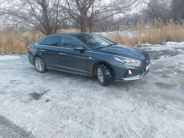 Hyundai: Hyundai Sonata: 2018 г., 2 л, Автомат, Газ, Седан