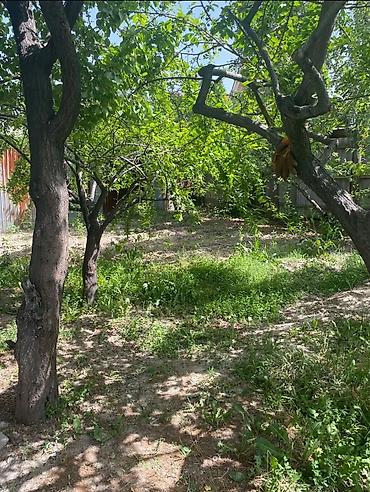 Продажа коттеджей и домов: Продается полумансардный дом в районе Арча-Бешик. Участок по — 11