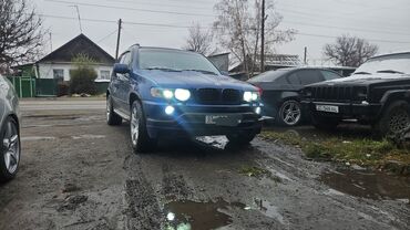 газовые форсунки: BMW X5: 2003 г., 3 л, Автомат, Дизель, Кроссовер