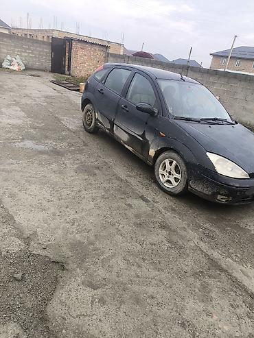 Ford: Ford Focus: 2002 г., Механика, Бензин, Хэтчбэк — 11