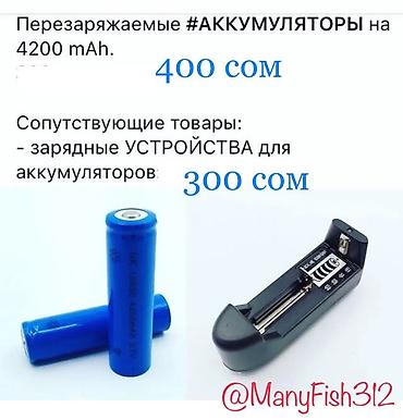 4200 mAh! Перезаряжаемые аккумуляторы (аккумуляторные батарейки)