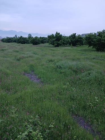 Torpaq sahələrinin satışı: 87 sot, Tikinti, Mülkiyyətçi, Kupça (Çıxarış) — 8