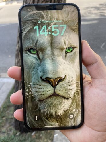 IPhone 12 Pro Max, 128 ГБ, Pacific Blue, Face ID, Беспроводная зарядка, С документами