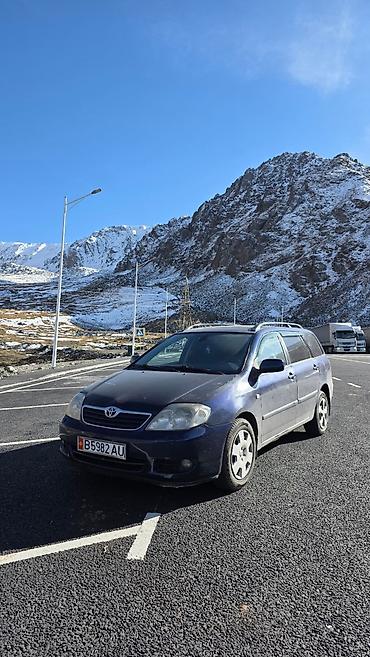 ферари машина: Toyota Corolla: 2005 г., 1.6 л, Механика, Бензин, Универсал — 2