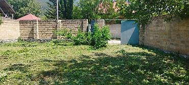 ismayıllıda satılan torpaq: Tikinti, Mülkiyyətçi, Kupça (Çıxarış) — 2