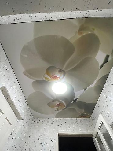 Натяжной потолок: Натяжной потолок Глянцевое, Матовое, 3D потолки Гарантия, Бесплатная консультация, Бесплатный замер — 5