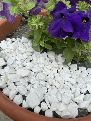 Мраморная крошка: Мраморная крошка, Белая, Ландшафтная, В мешках — 4