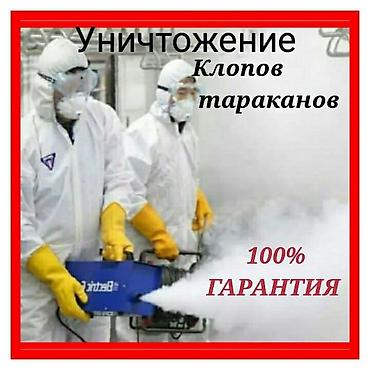 от паразитов: Дезинфекция, дезинсекция, | Тараканы, Блохи, Клопы, | Дома, Квартиры, Кафе, магазины — 4