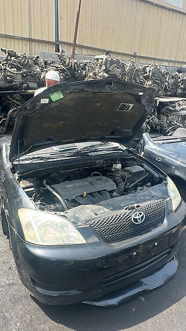 Другие детали кузова: Разбор Toyota Corolla (E120/E130, дорестайлинг/рестайлинг — 6