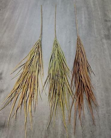 Картины: Искусственные цветы и зелень для декора НА ЗАКАЗ ПРИВИЗУ ОПТОМ ПО — 11