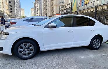 Skoda: Skoda Octavia: 2015 г., 1.6 л, Автомат, Бензин, Седан — 5