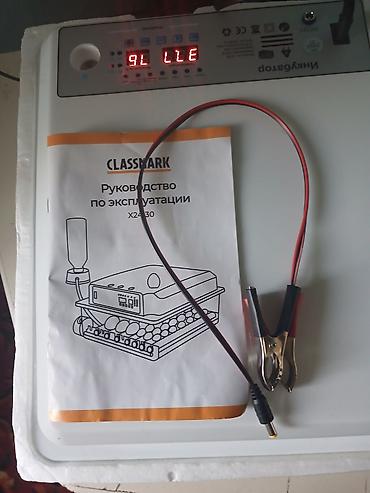 перепель: У товара состоит ненормальная для 36 яиц гусиная курицы индюка утки — 2