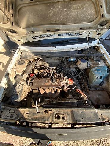 golf b4: Volkswagen Golf: 1991 г., 1.4 л, Механика, Бензин, Купе — 3