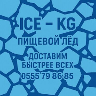 гусь купить мясо: Разные формы и размеры. Качество льда отличное. Доставка в течении