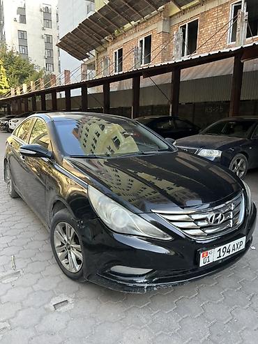 byd son: Hyundai Sonata: 2014 г., Седан — 1