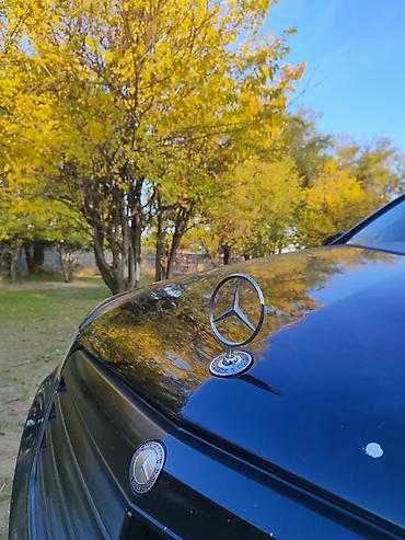 w212 рестайлинг: Mercedes-Benz E-Class: 2011 г., 2.2 л, Автомат, Дизель, Седан — 7