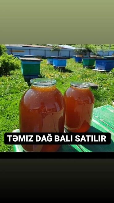 distillə olunmuş su satışı: Təmi̇z dağ bali satilir zaqatala bali 100 % tebi̇i̇ dağ bali