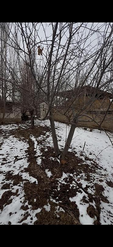 Продажа коттеджей и домов: Окуу жана окуу ❗ жакшы бада жер үй сатылат адрес Жалал-Абад шаарында — 12