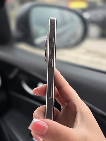 1250: IPhone 15 Pro Max, 256 GB, Gümüşü, Face ID — 2