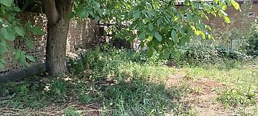 каракол комната: 12 соток, Кызыл китеп — 4
