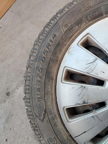 шины 12: Зимние шипованные шины, комплект из 4 шт. Размер: 175/65 R14 Тип — 3