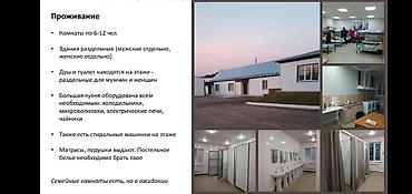 Упаковщики: Требуется Упаковщик, Оплата: Еженедельно, Без опыта — 4