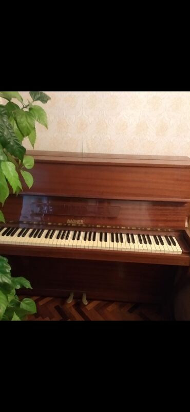pianino gence: ‼️Avropa Petrof istehsali Wagner pianinasi satılır.900 AZN unvan.baki