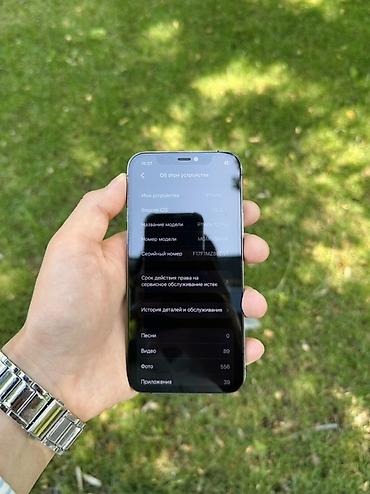 Apple iPhone: IPhone 12 Pro, Б/у, 128 ГБ, Серебристый, Чехол, 74 % — 5