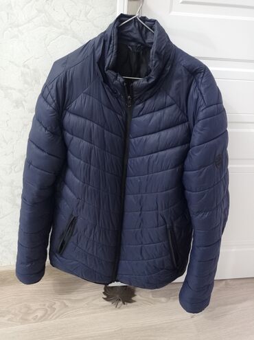 kiqurum qadın pijamaları: Мужская куртка, Болонка, Зимняя, ColinS, 2XL