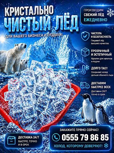 сухой лёд купить: ЛЁД ПИЩЕВОЙ ДЛЯ ВАШЕГО БИЗНЕСА! Высокое качество. Итальянское и — 1