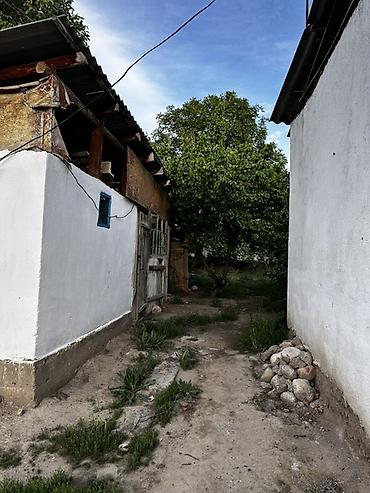 Продажа коттеджей и домов: 2 Дома с большим двором и хозпостройками: очок кана, баня, 4 сарая — 2