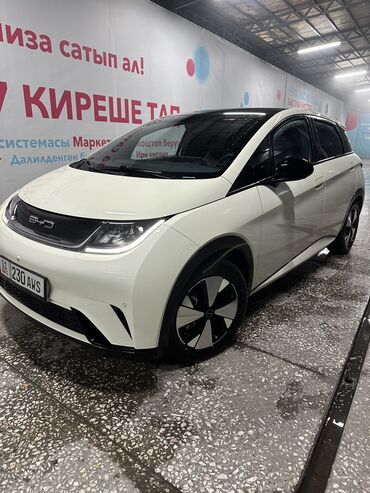 BYD: BYD Dolphin: 2023 г., Автомат, Электромобиль, Хэтчбэк — 1