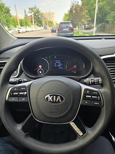 Kia: Kia Sorento: 2019 г., Автомат, Кроссовер — 14