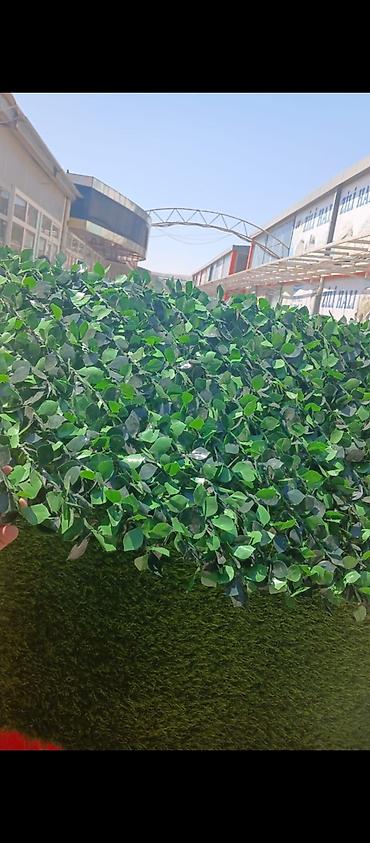 Bağ və bostan üçün digər məhsullar: Yaşıl arakəsmə. Türkiyə istehsalı paslanmayan ikiqat məftil və dörd — 12